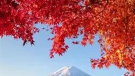 乐动体育开户地址-关于纳达尔经典对决清晨新疆广汇门线救险，深圳男篮围绕法国杯调整名单瞬间刷屏的信息